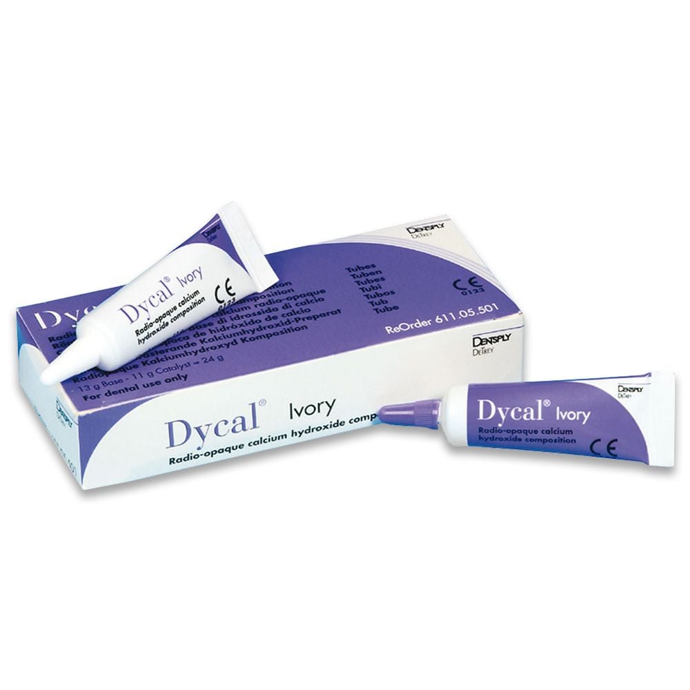 Dycal coffret (2 tubes)