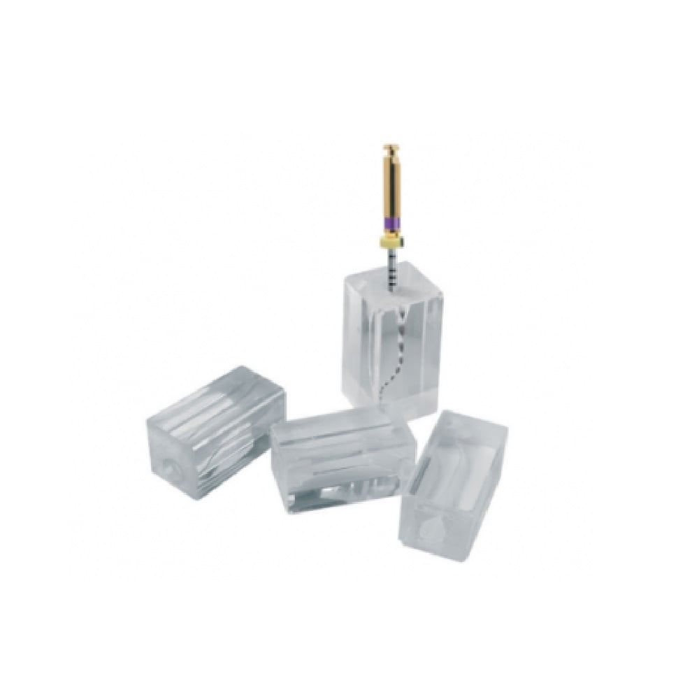 Endo Training résine Transparents courbes  (10)