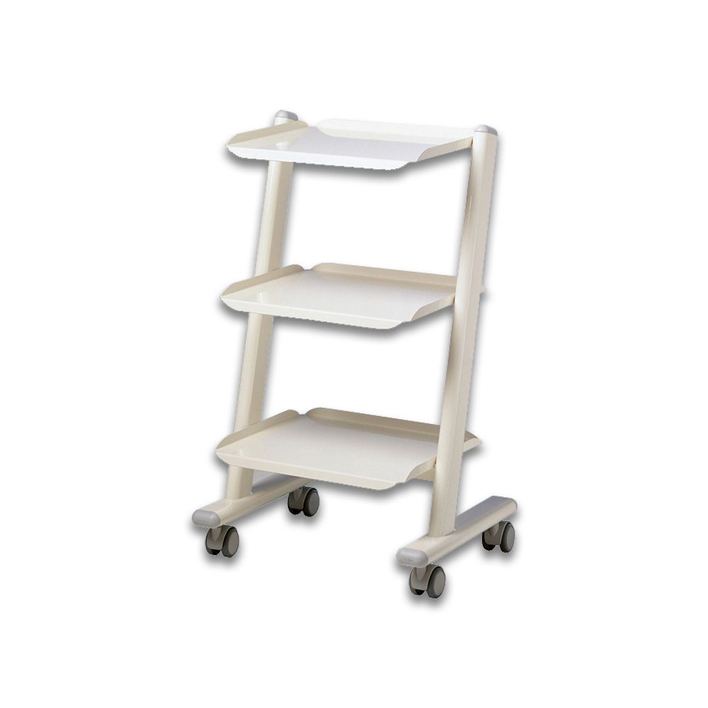 CHARIOT MULTI SERVICES