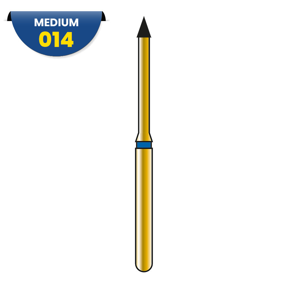 Fraise diamantée conique longue à bout pointu - G873 - 314 014 2ML (5)