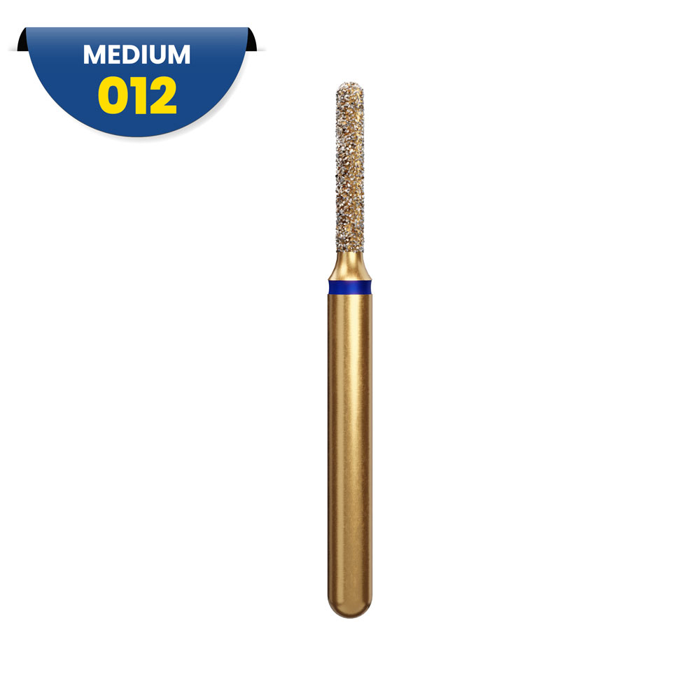 Fraise diamantée cylindrique à bout rond G880 314 012 6ML 