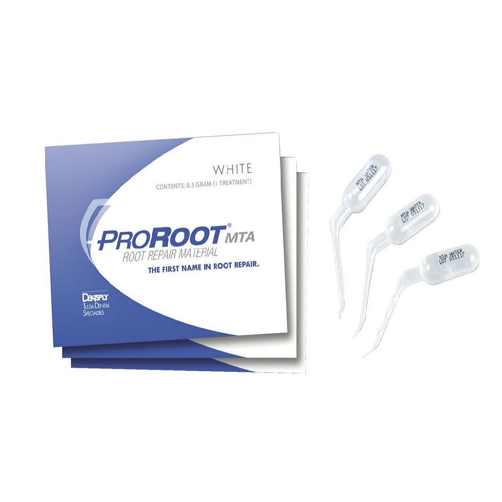 ProRoot MTA blanc