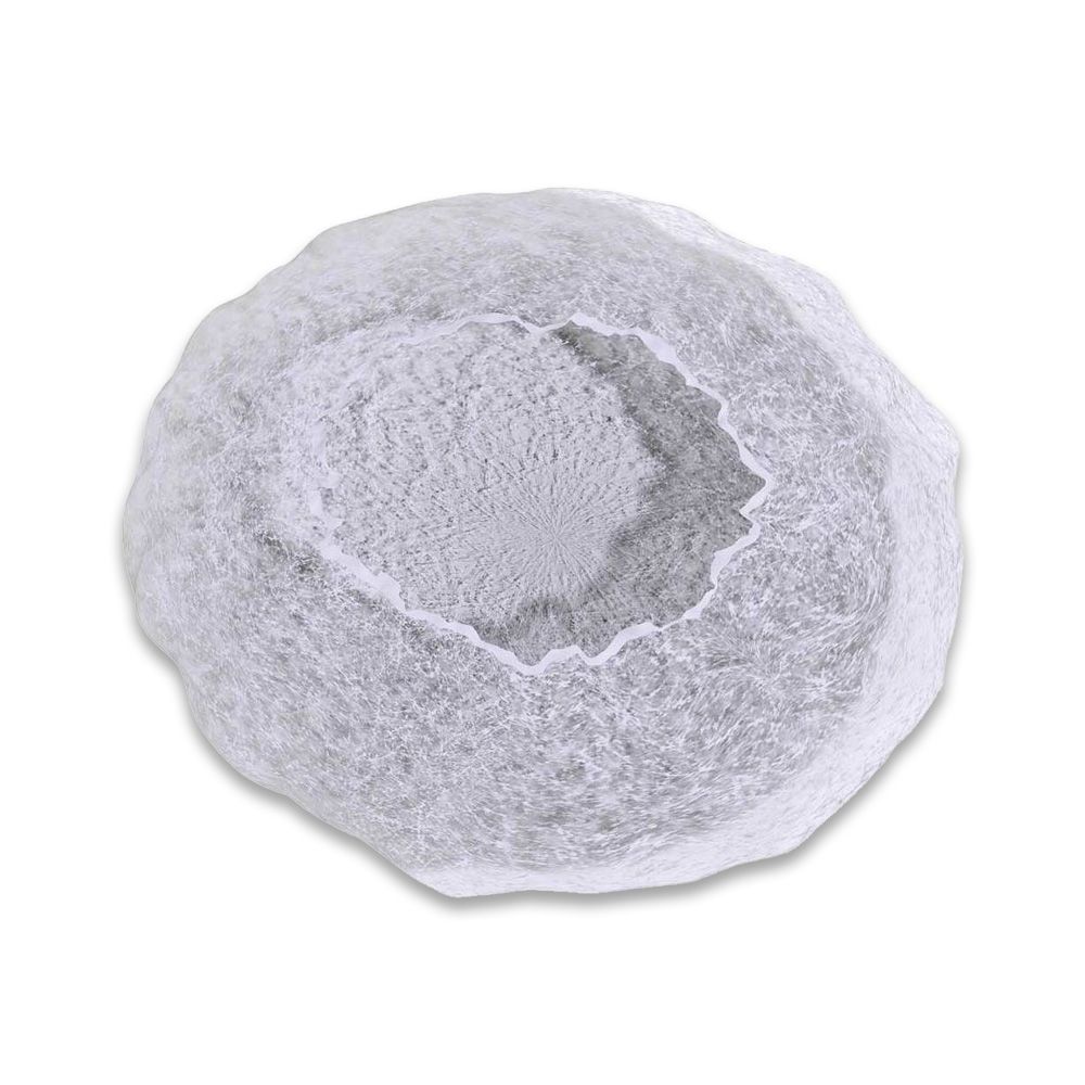 Charlottes jetables blanches (250)