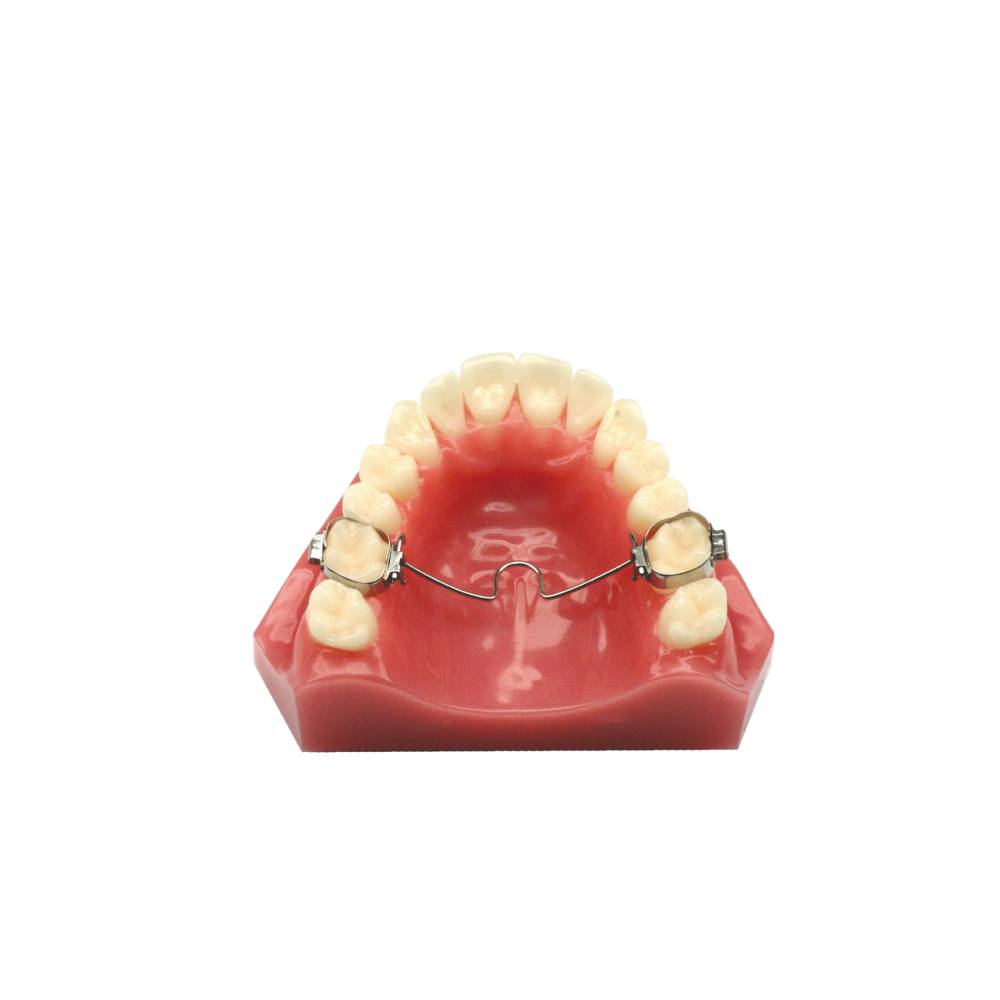 Arc transpalatin mésial Goshgarian