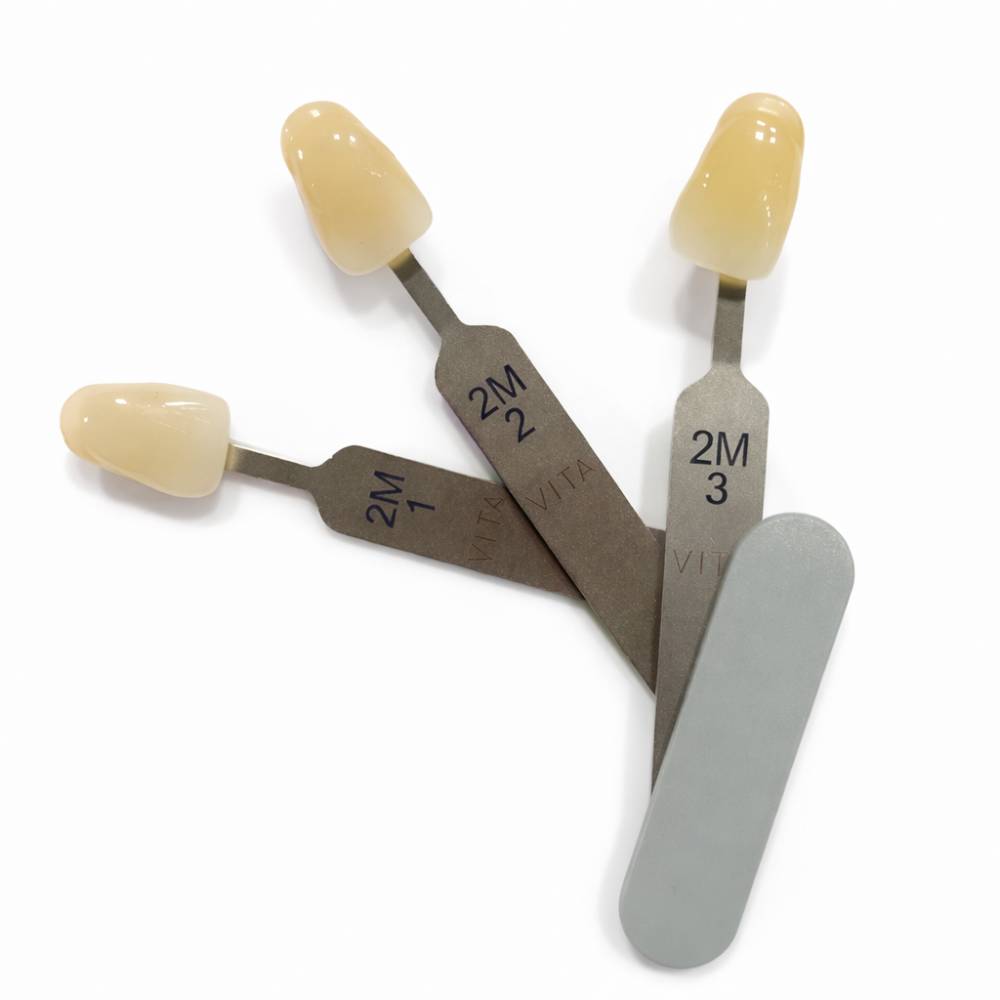 Guide dentaire 3D Master groupe de teintes 2M