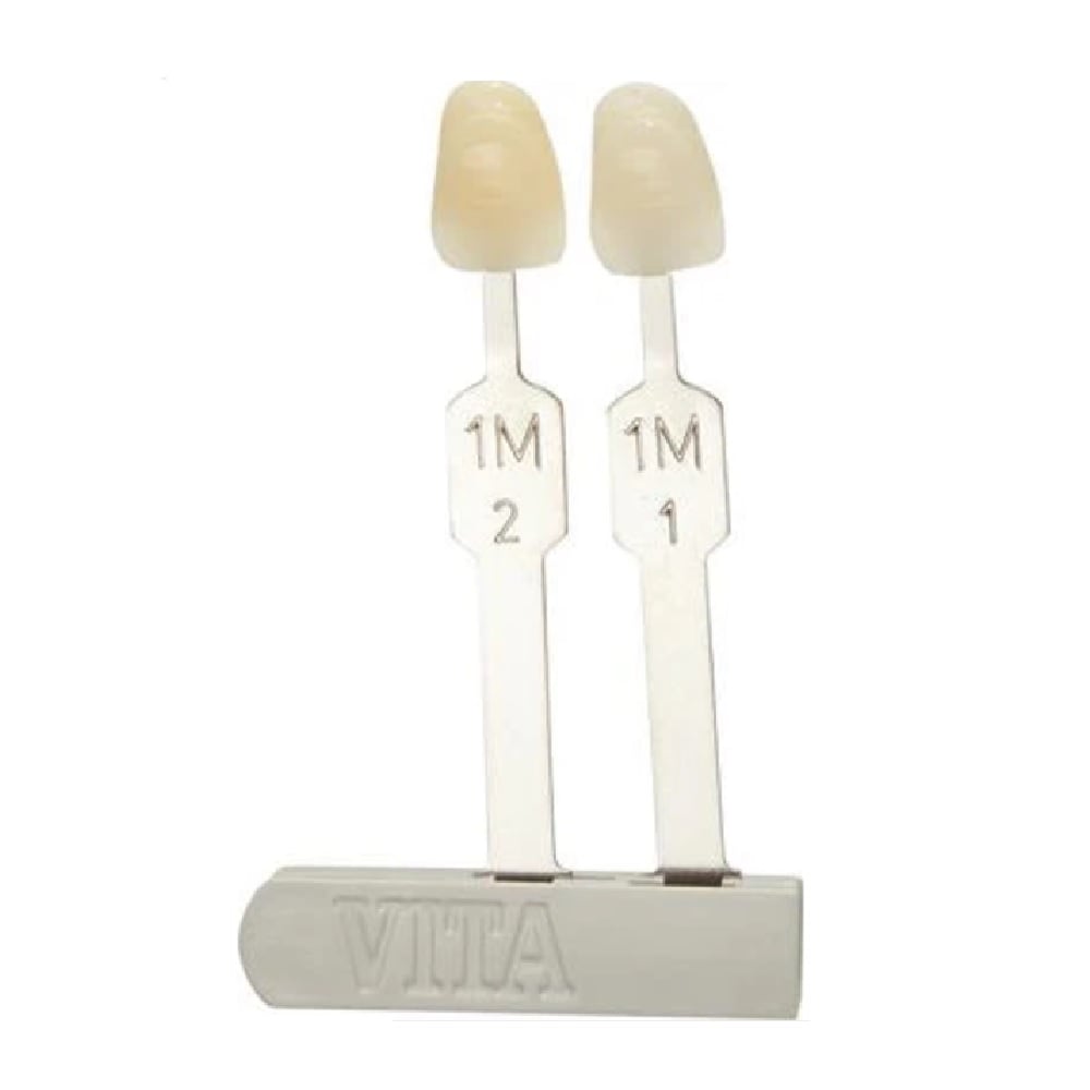 Guide dentaire 3D Master groupe de teintes 2M