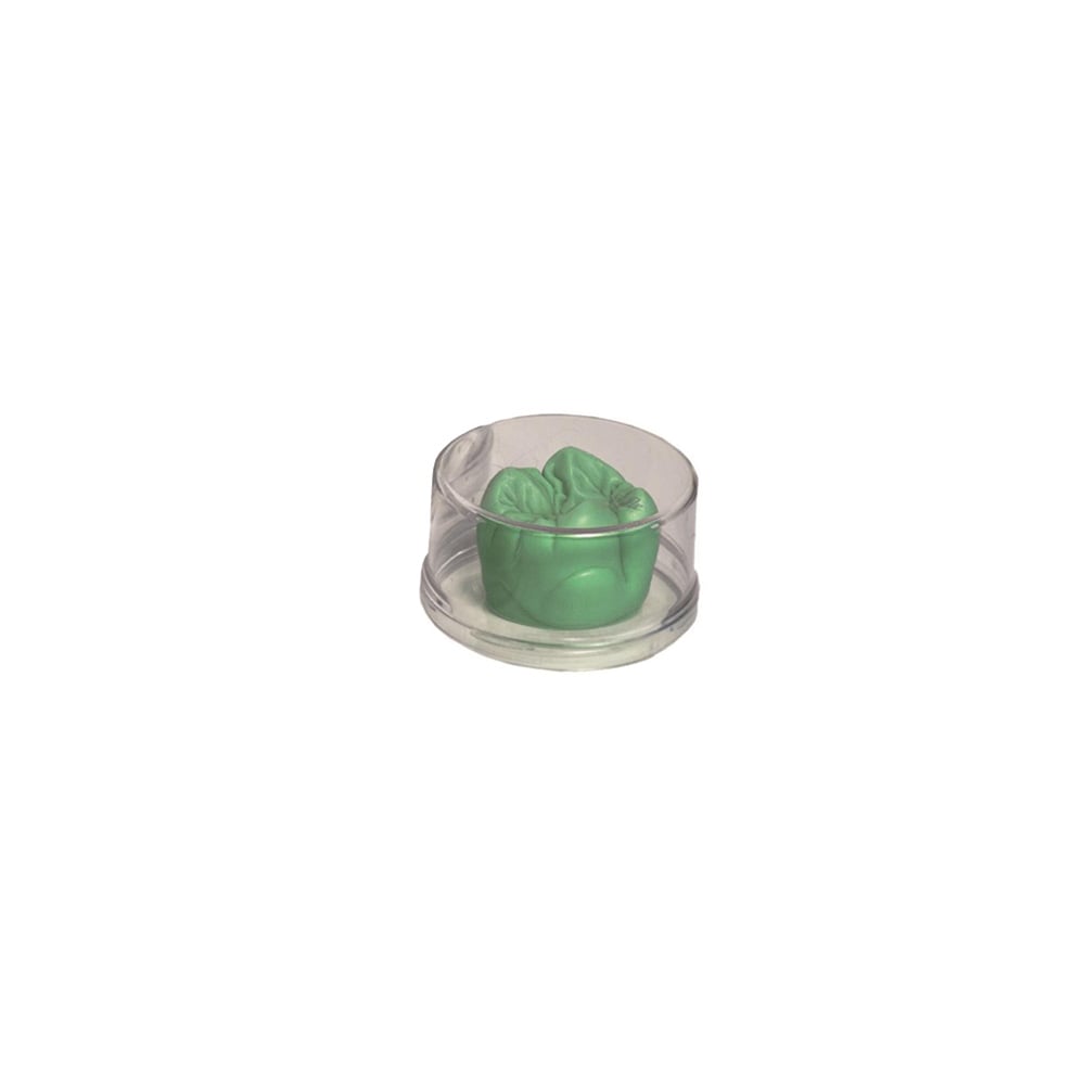Tooth Cire A Sculpter Vert Opaque