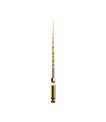 Miniature ProTaper Gold - S2 - 31 mm - blister de 6