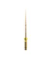 Miniature ProTaper Gold - F1 - 21 mm - blister de 6