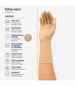 Miniature Gants de chirurgie Peha-Neon plus stériles sans latex - taille 6.5