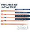 Miniature Protaper gold gutta-percha à conicité variable - boîte de 60