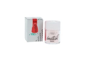 Initial ZR Dentine poudre 20G DD2