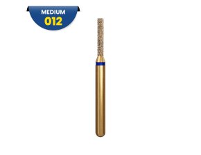 Fraise diamantée cylindrique G836 314 012 6M
