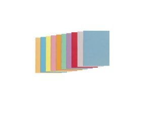 Pochettes Recyclables Coloris Assort