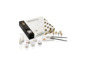 Initial Lisi Bloc Aesthetic Kit