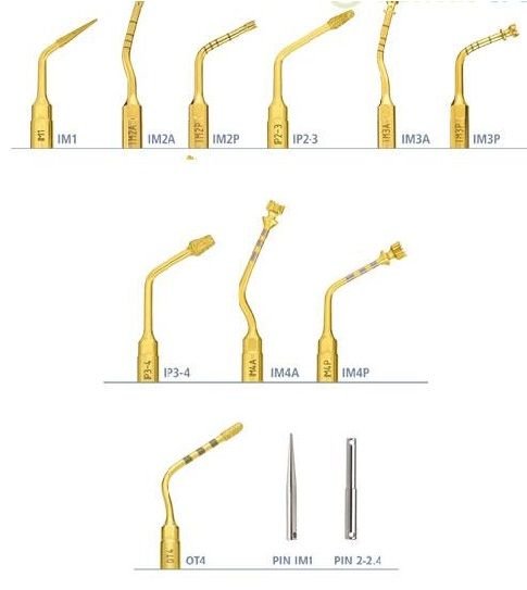 ORTHODONTIE