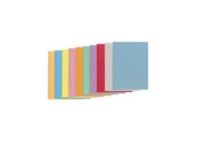 Pochettes Recyclables Coloris Assort