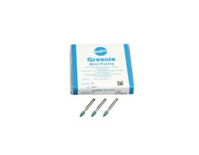 Minipointe S/Greenie 404B (12)