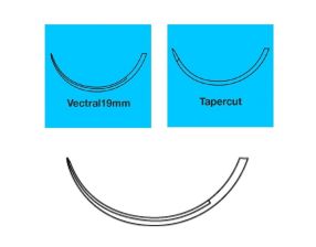 SUTURES DENTAIRES