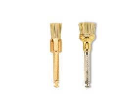 OCCLUBRUSH CUPULES
