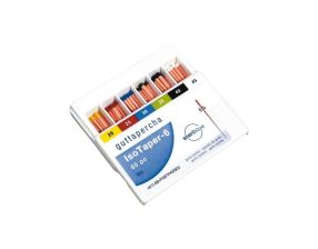 POINTES GUTTA ISO TAPER
