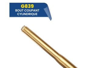 Fraises diamantées bout coupant cylindriques G839