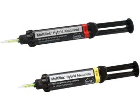 MULTILINK HYBRID ABUTMENT -