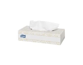 Mouchoirs double épaisseur 20.7x21cm la boite de 100 