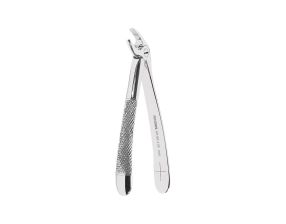 Davier Profil Retentif Lady W0160-4