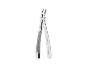 Davier Profil Retentif Lady W0160-7 