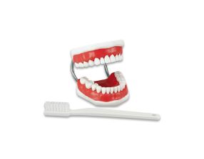 TYPODONT BRUSH-N-FLOSS 