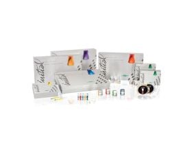 Initial Ti Gm-23 20g    Gc