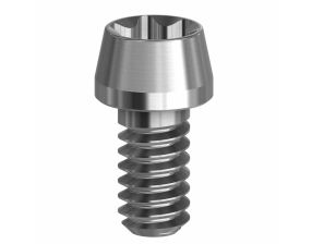 Pack de 10 vis Torx - 19.069-P10