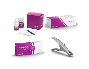 Ceramir Crown Bridge