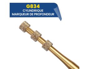 Fraises diamantées cylindriques marqueur de profondeur G834