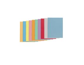 Pochettes Recyclables Coloris Assort