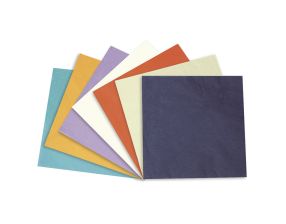 Serviettes dentaires - lot de 50