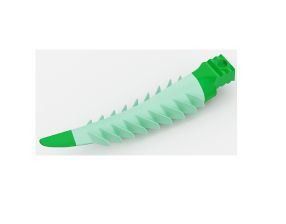 Fusion Wedges Anterieur